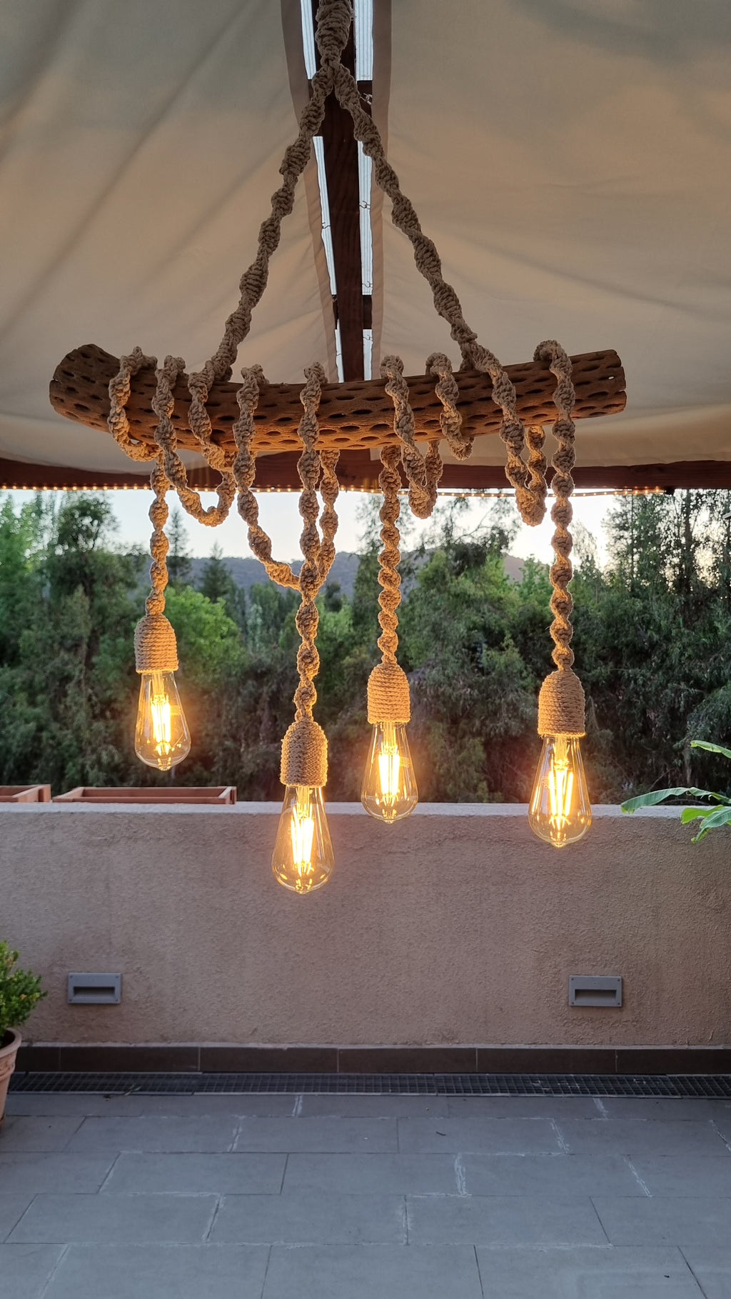 Lámpara Rústica en tronco de Cactus