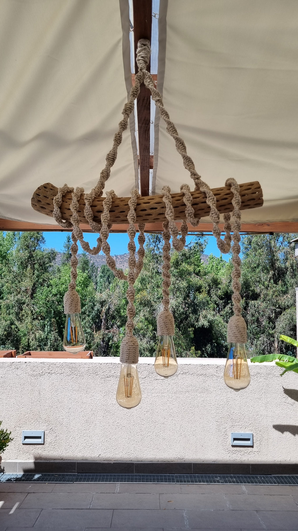 Lámpara Rústica en tronco de Cactus