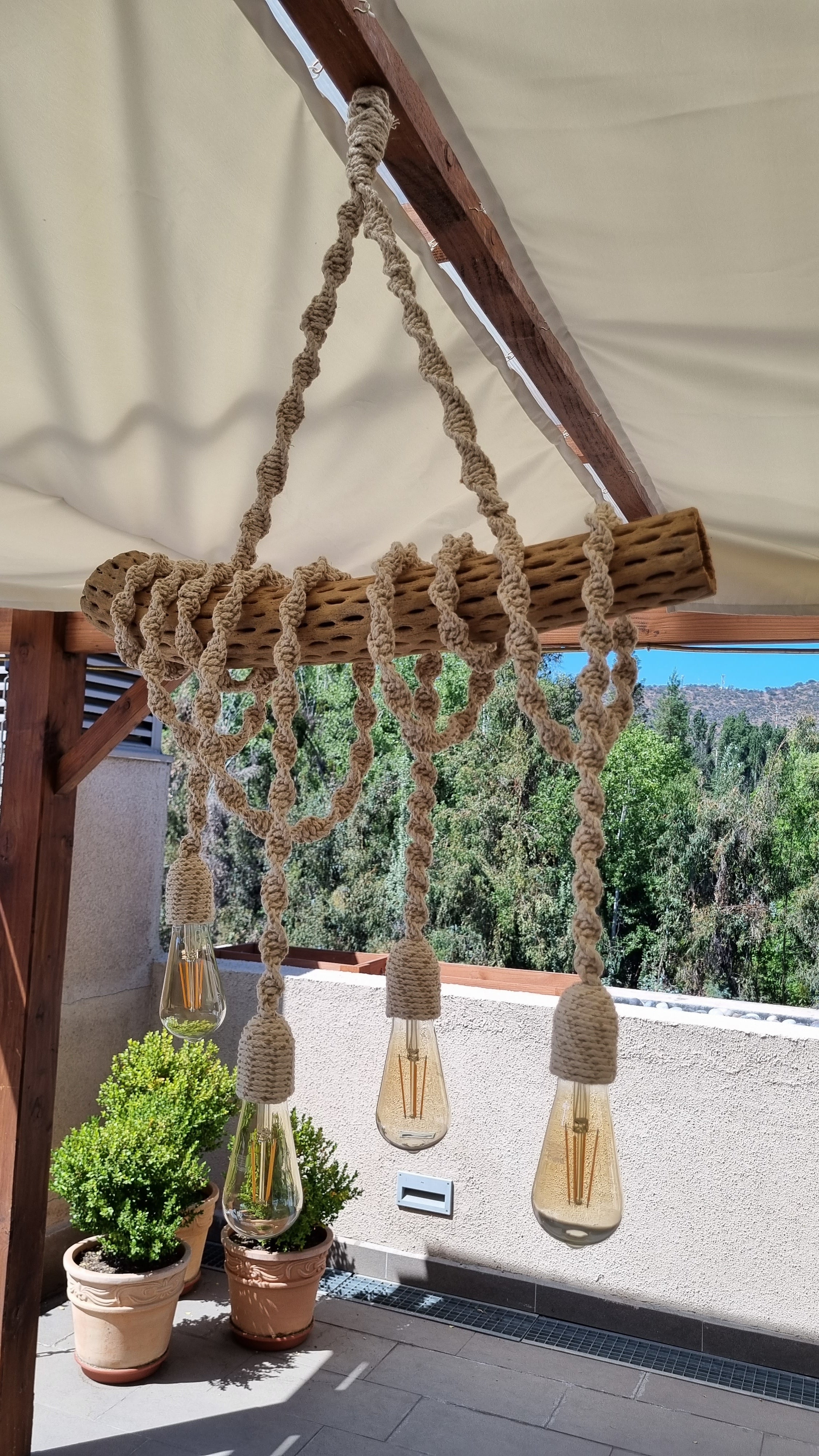 Lámpara Rústica en tronco de Cactus