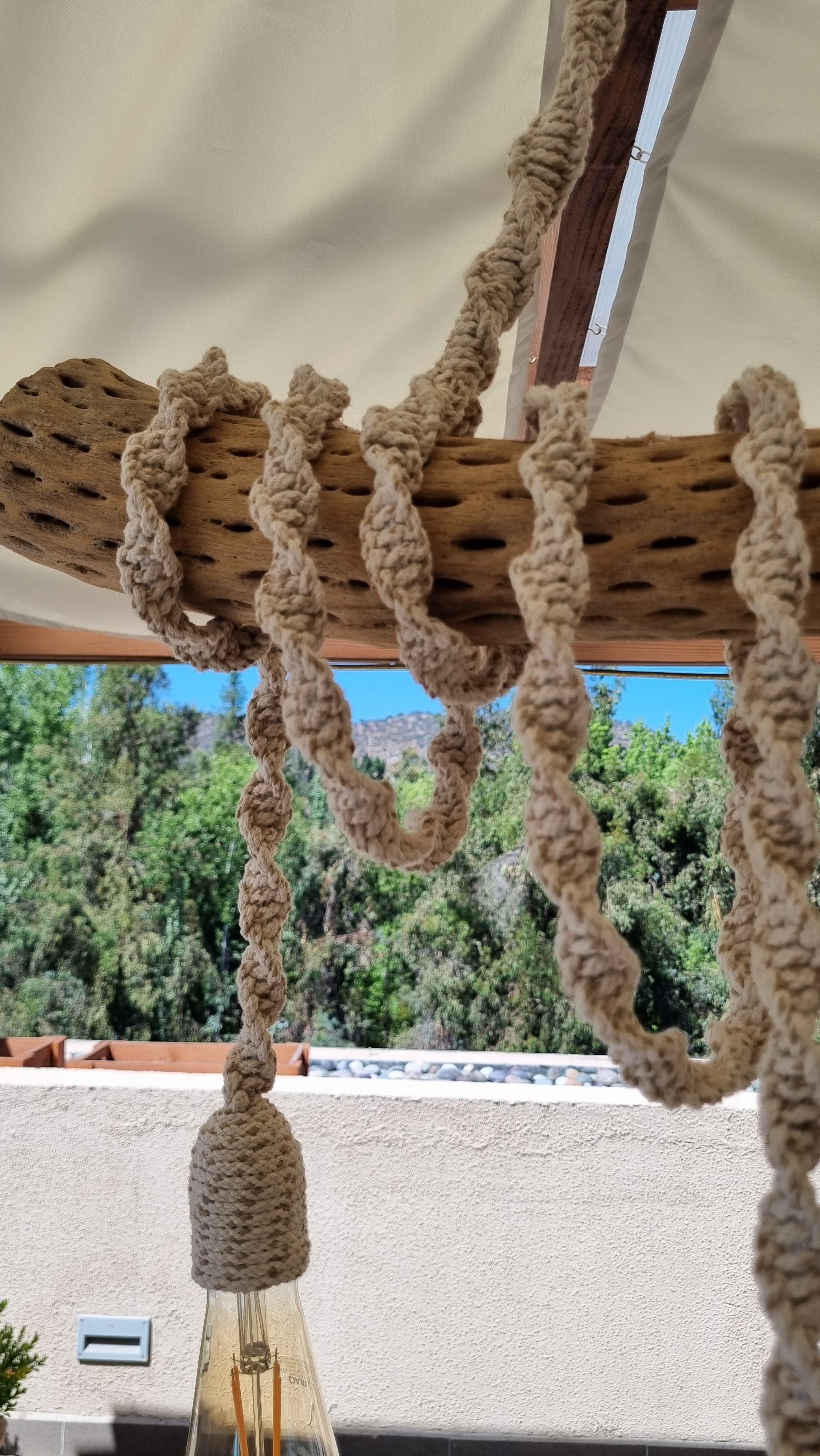 Lámpara Rústica en tronco de Cactus