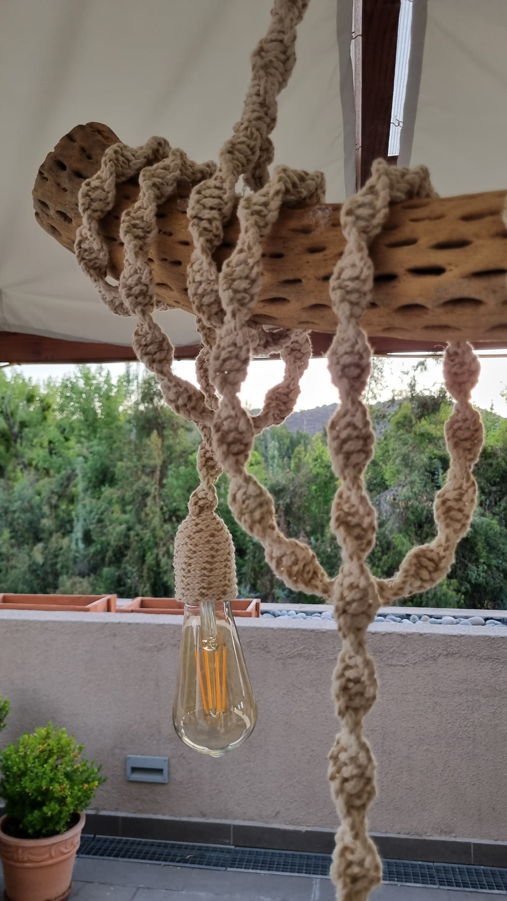 Lámpara Rústica en tronco de Cactus