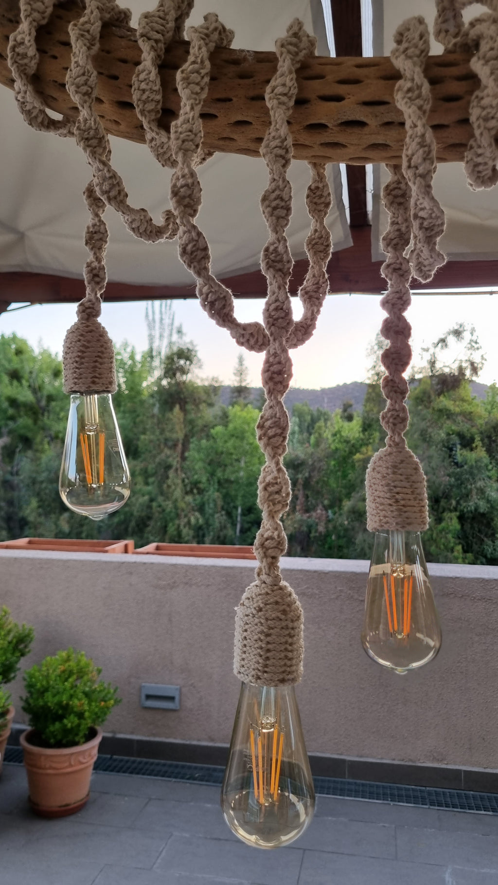 Lámpara Rústica en tronco de Cactus